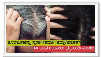 White Hair Problem: ಅಡುಗೆ ಮನೆಯಲ್ಲಿರುವ ಈ 3 ಪದಾರ್ಥಗಳಿಂದ ನೈಸರ್ಗಿಕವಾಗಿ  ತಲೆ ಕೂದಲನ್ನು ಕಪ್ಪಾಗಿಸಿ!