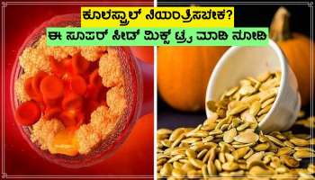 High Cholesterol ನಿಂದ ಮುಕ್ತಿ ಪಡೆಯಬೇಕೆ? ಈ ಸೂಪರ್ ಸೀಡ್ ಮಿಕ್ಸ್ ಒಮ್ಮೆ ಟ್ರೈ ಮಾಡಿ ನೋಡಿ!