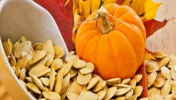 Pumpkin Seeds : ಕುಂಬಳಕಾಯಿ ಬೀಜದಲ್ಲಿದೆ ಈ ಕಾಯಿಲೆ ಗುಣಪಡಿಸುವ ಶಕ್ತಿ 