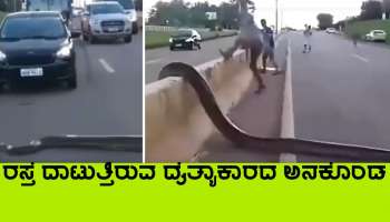 Viral Video: ರಸ್ತೆಗಿಳಿದ ವಿಶ್ವದ ಅತಿ ದೊಡ್ಡ ಹಾವು ಅನಕೊಂಡ, ನೋಡಿ ಸ್ಥಭ್ದರಾದ ಜನ!