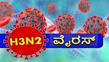 H3N2 ಹೇಗೆ ಗುರುತಿಸುವುದು? ರೋಗಲಕ್ಷಣ, ತಡೆಗಟ್ಟುವ ವಿಧಾನ ಇಲ್ಲಿದೆ 