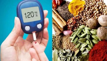 Diabetes Control: ರಕ್ತದಲ್ಲಿನ ಸಕ್ಕರೆಯನ್ನು ಹೀರಿಕೊಳ್ಳುತ್ತವೆ ಅಡುಗೆ ಮನೆಯ ಈ ಸಾಂಬಾರ ಪದಾರ್ಥಗಳು