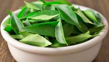 Curry Leaves: ಬೆಳಗ್ಗೆ ಖಾಲಿ ಹೊಟ್ಟೆಯಲ್ಲಿ ಕರಿಬೇವು ತಿಂದ್ರೆ ಈ 5 ಕಾಯಿಲೆ ಬರುವುದಿಲ್ಲ 