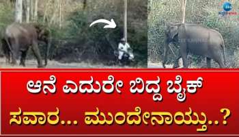 Shocking Viral Video: ಆನೆ ಕಂಡು ಆಯತಪ್ಪಿ ಬಿದ್ದ ಬೈಕ್ ಸವಾರ, ಮುಂದೆ...