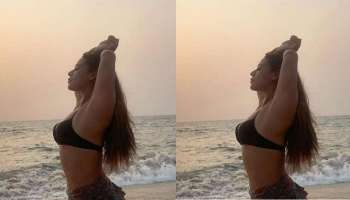 Krishna Shroff Hot Photos : ಟೈಗರ್ ಶ್ರಾಫ್ ಸಹೋದರಿ ಬೋಲ್ಡ್‌ ಲುಕ್'ಗೆ ಪಡ್ಡೆಹೈಕ್ಳ ಫಿದಾ!