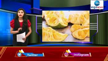 JackFruit Uses 