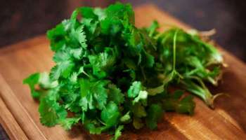 Benefits of Parsley : ದಿನನಿತ್ಯ ಆಹಾರದಲ್ಲಿ ʼಕೊತ್ತಂಬರಿ ಸೊಪ್ಪುʼ ಬಳಸುವುದರಿಂದ ಆಗುವ ಲಾಭಗಳು..!