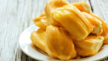 Jackfruit Health Benefits: ಹಲಸಿನ ಹಣ್ಣಿನ ಅದ್ಭುತ ಪ್ರಯೋಜನಗಳು