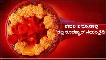 High Cholesterol: ಕೇವಲ 2 ರೂ. ಖರ್ಚು ಮಾಡಿ ಸಾಕು, ರಕ್ತ ನಾಳಗಳಲ್ಲಿನ ಕೆಟ್ಟ ಜಿಡ್ಡು ಕರಗಿ ಹೊರಬರುತ್ತದೆ!