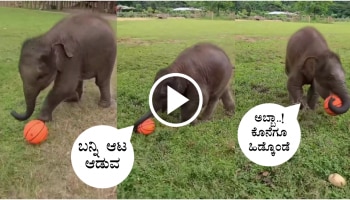 ಮನಸ್ಸಿಗೆ ಬೇಜಾರಾಗಿದ್ಯಾ.. ಹೃದಯಕ್ಕೆ ನೋವಾಗಿದ್ಯಾ...! ನನ್ನ ವಿಡಿಯೋ ನೋಡಿ..