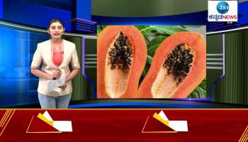 benefits of papaya