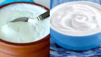 ಮೊಸರಿನ ವಿಷಯದಲ್ಲಿ ಈ ತಪ್ಪುಗಳನ್ನು ಎಂದಿಗೂ ಮಾಡಬೇಡಿ 