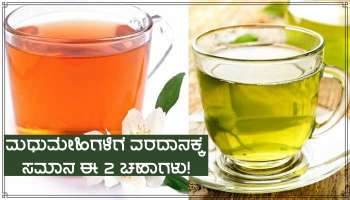 Diabetes Control: ರಕ್ತದಲ್ಲಿನ ಸಕ್ಕರೆ ಮಟ್ಟವನ್ನು ತಕ್ಷಣ ನಿಯಂತ್ರಣಕ್ಕೆ ತರುತ್ತವೆ ಈ ಎರಡು ಚಹಾಗಳು!