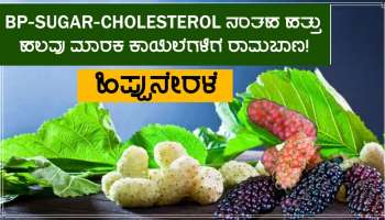 BP-Sugar-Cholesterol-Cancer-Obesity ಯಂತಹ ಮಾರಕ ಕಾಯಿಲೆಗಳಿಗೆ ವರದಾನ ಈ ಬೇಸಿಗೆ ಹಣ್ಣು!