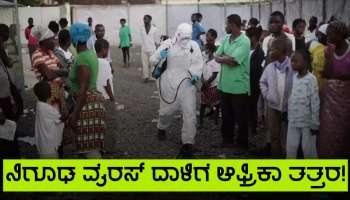 Marburg Virus: ನಿಗೂಢ ವೈರಸ್ ದಾಳಿಯಿಂದ ಆಫ್ರಿಕಾದಲ್ಲಿ ಹಾಹಾಕಾರ, 24 ಗಂಟೆಯೊಳಗೆ ವ್ಯಕ್ತಿ ಪ್ರಾಣ ಕಳೆದುಕೊಳ್ಳುತ್ತಾನೆ!