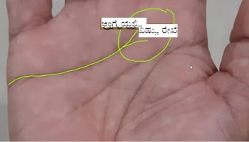 Palmistry: ಕೈಯಲ್ಲಿ ‘ವಿಷ್ಣು ರೇಖೆ’ ಹೊಂದಿರುವವರು ತುಂಬಾ ಅದೃಷ್ಟವಂತರು!