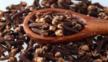 Clove Health Benefits: ಲವಂಗ ಸೇವಿಸುವುದರಿಂದ ಇಷ್ಟೆಲ್ಲಾ ಪ್ರಯೋಜನಗಳಿವೆ