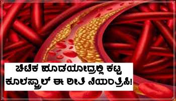 Health Tips: ಚಿಟಿಕೆ ಹೊಡೆಯೋದ್ರಲ್ಲಿ ದೇಹದಿಂದ ಕೊಲೆಸ್ಟ್ರಾಲ್ ಕಣ್ಮರೆಯಾಗುತ್ತೆ! ಜಸ್ಟ್ ಈ ಅಗ್ಗದ ವಸ್ತು ಮನೆಗೆ ತನ್ನಿ