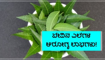 Neem Leaves: ಹಲವು ಕಾಯಿಲೆಗಳ ಚಿಕಿತ್ಸೆಗೆ ರಾಮಬಾಣ ಈ ಎಲೆಗಳು, ಇಲ್ಲಿದೆ ಉಪಯೋಗಿಸುವ ಸರಿಯಾದ ವಿಧಾನ!