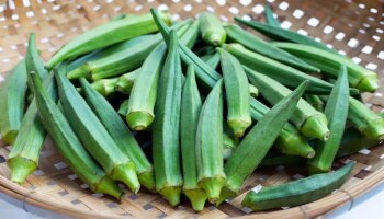 Ladyfinger Health Benefits: ಬೆಂಡೆಕಾಯಿ ಸೇವನೆಯಿಂದ ಇಷ್ಟೆಲ್ಲಾ ಆರೋಗ್ಯ ಪ್ರಯೋಜನಗಳಿವೆ