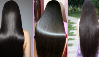 Hair care tips: ಉದ್ದ, ದಪ್ಪ, ಕಪ್ಪಾದ ಕೂದಲಿಗೆ ಈ ಗಿಡದ ಎಲೆಯನ್ನು ಬಳಸಿ ಸಾಕು 