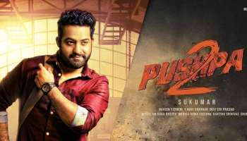 Jr NTR In Pushpa 2 : ಪುಷ್ಪ 2 ಸಿನಿಮಾದಲ್ಲಿ ಜೂ.ಎನ್‌ಟಿಆರ್.!?