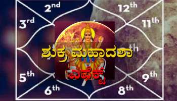 Shukra Mahadasha Effect: 20 ವರ್ಷಗಳವರೆಗೆ ರಾಜ ಯೋಗ, ಅಪಾರ ಕೀರ್ತಿ, ಸಂಪತ್ತು ಪ್ರಾಪ್ತಿ 