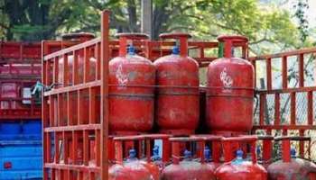 LPG Price: ತಿಂಗಳ ಮೊದಲ ದಿನವೇ ಗುಡ್ ನ್ಯೂಸ್: LPG ಸಿಲಿಂಡರ್ ಬೆಲೆ ಭಾರೀ ಇಳಿಕೆ; ಎಷ್ಟು ಅಗ್ಗವಾಯ್ತು ದರ?