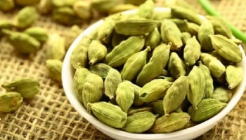 Cardamom Health Benefits: ಏಲಕ್ಕಿ ಸೇವನೆಯ ಅದ್ಭುತ ಆರೋಗ್ಯ ಪ್ರಯೋಜನಗಳು