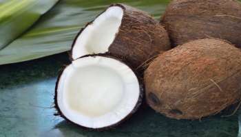 Coconut Health Benefits: ತೆಂಗು - ಇಂಗು ಇದ್ದರೆ ಮಂಗ ಸಹ ಚೆನ್ನಾಗಿ ಅಡುಗೆ ಮಾಡಬಲ್ಲದು: ಆದ್ರೆ ತೆಂಗಿನ ಕಾಯಿ ಉಪಯೋಗ ಬಲ್ಲಿರಾ.. 