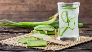 Aloe Vera Juice: ಖಾಲಿ ಹೊಟ್ಟೆಯಲ್ಲಿ ಅಲೋವೆರಾ ಜ್ಯೂಸ್ ಕುಡಿದರೆ ಎಷ್ಟೆಲ್ಲಾ ಲಾಭ ಗೊತ್ತಾ? 