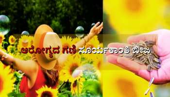 Sunflower Seeds: ಕೊಲೆಸ್ಟ್ರಾಲ್ ಕಂಟ್ರೋಲ್, ಆರೋಗ್ಯಕರ ಹೃದಯಕ್ಕಾಗಿ ತುಂಬಾ ಪ್ರಯೋಜನಕಾರಿ ಈ ಬೀಜ 