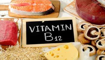 ದೇಹದಿಂದ ವಿಟಮಿನ್ 12 ಅನ್ನು ಹೀರಿಕೊಳ್ಳುತ್ತದೆ ಈ ಮೂರು ಆಹಾರಗಳು 