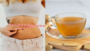 Weight Loss: ಬೆಚ್ಚಗಿನ ನೀರಿನಲ್ಲಿ ಇದನ್ನು ಸೇರಿಸಿ ಕುಡಿಯಿರಿ.. 15 ದಿನಗಳಲ್ಲಿ 2 ಕೆಜಿ ತೂಕ ಇಳಿಸಿ!