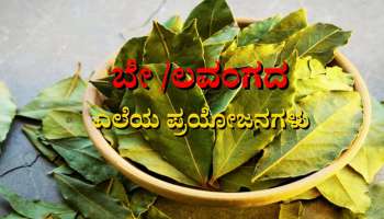 Bay Leaf Benefits: ರುಚಿ ಮಾತ್ರವಲ್ಲ, ಆರೋಗ್ಯಕ್ಕೂ ವರದಾನ ಬೇ ಎಲೆಗಳು 