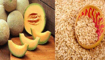 Muskmelon Seeds: ಕರ್ಬೂಜ ಹಣ್ಣಿನ ಬೀಜಗಳಿಂದ ಇಷ್ಟೆಲ್ಲಾ ಅದ್ಭುತ ಪ್ರಯೋಜನಗಳಿವೆ