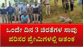 ಬಂಡೀಪುರ ಕಾಡಲ್ಲಿ ಮೂರು ಚಿರತೆ ಸಾವು- 1 ಚಿರತೆ ವಿಷಪೂರಿತ ಮಾಂಸ ತಿಂದು ಮೃತ