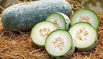 Ash Gourd Benefits: ಬೂದು ಕುಂಬಳಕಾಯಿ ದೃಷ್ಟಿ ತೆಗೆಯಲು ಮಾತ್ರವಲ್ಲ... ಆರೋಗ್ಯಕ್ಕೂ ಪ್ರಯೋಜನಕಾರಿ ..!