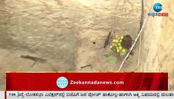 Pooja for treasure in Chikkamagalur