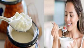 Curd Side Effects: ಈ ಸಮಸ್ಯೆಯಿದ್ದರೆ ಮೊಸರನ್ನು ತಪ್ಪಿಯೂ ತಿನ್ನಬೇಡಿ, ಆರೋಗ್ಯ ಹಾಳಾಗೋದು ಪಕ್ಕಾ!