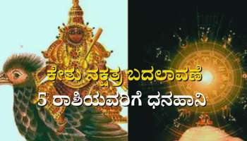 Ketu Gochar: ಪಾಪ ಗ್ರಹ ಕೇತು ನಕ್ಷತ್ರ ಬದಲಾವಣೆಯಿಂದ ಈ 5 ರಾಶಿಯವರಿಗೆ ಧನ ಹಾನಿ 