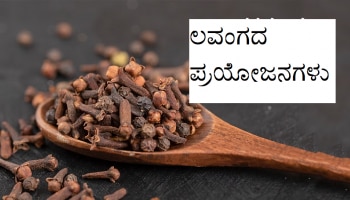 Benefits Of Cloves: ಪ್ರತಿದಿನ ಹಾಲಿನೊಂದಿಗೆ ಒಂದು ಚಿಟಿಕೆ ಲವಂಗ ಬೆರೆಸಿ ಕುಡಿದ್ರೆ ಏನಾಗುತ್ತೆ ಗೊತ್ತಾ?