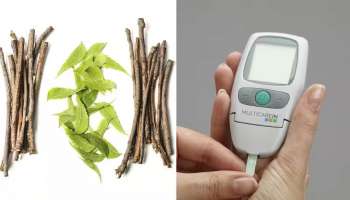 Diabetes Remedies: ಬೇವು, ತುಳಸಿ, ಈರುಳ್ಳಿ, ಆಮ್ಲಾ.. ಒಂದೇ ದಿನದಲ್ಲಿ ಮಧುಮೇಹ ಕಡಿಮೆ ಮಾಡುತ್ತೆ ಈ ಮನೆಮದ್ದು.! 