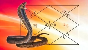 Astro Tips: ಜಾತಕದಲ್ಲಿ ಕಾಲ ಸರ್ಪದೋಷವಿದ್ದರೆ ಜೀವನ ನರಕವಾಗುತ್ತದೆ..!