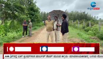 chikkamagaluru cheetah caught on fence