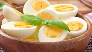 Health Benefits of Eggs: ಮೊಟ್ಟೆ ಸೇವನೆಯ ಅದ್ಭುತ ಆರೋಗ್ಯ ಪ್ರಯೋಜನಗಳು