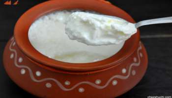 Curd Benefits: ಮಳೆಗಾಲದಲ್ಲಿ ʼಮೊಸರುʼ ಸೇವನೆ ಆರೋಗ್ಯಕ್ಕೆ ಒಳ್ಳೆಯದೇ..? 