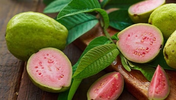 Health Benefits of Guava: ಸೀಬೆ ಹಣ್ಣು ಸೇವನೆಯಿಂದ ಇಷ್ಟೆಲ್ಲಾ ಪ್ರಯೋಜನಗಳಿವೆ