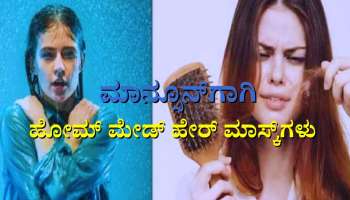 Monsoon Hair Care Tips: ಮಳೆಗಾಲದಲ್ಲಿ ಕೂದಲ ಆರೈಕೆಗಾಗಿ ಈ 4 ಹೇರ್ ಮಾಸ್ಕ್‌ಗಳನ್ನು ಮನೆಯಲ್ಲಿಯೇ ತಯಾರಿಸಿ 