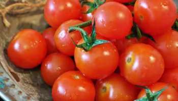 Tomato Price: ಟೊಮೆಟೊ ಬೆಲೆಯಲ್ಲಿ ದಿಢೀರ್‌ ಕುಸಿತ, ಕೆಂಪು ಸುಂದರಿಗೆ ಇಷ್ಟೇ ಬೆಲೆ!  